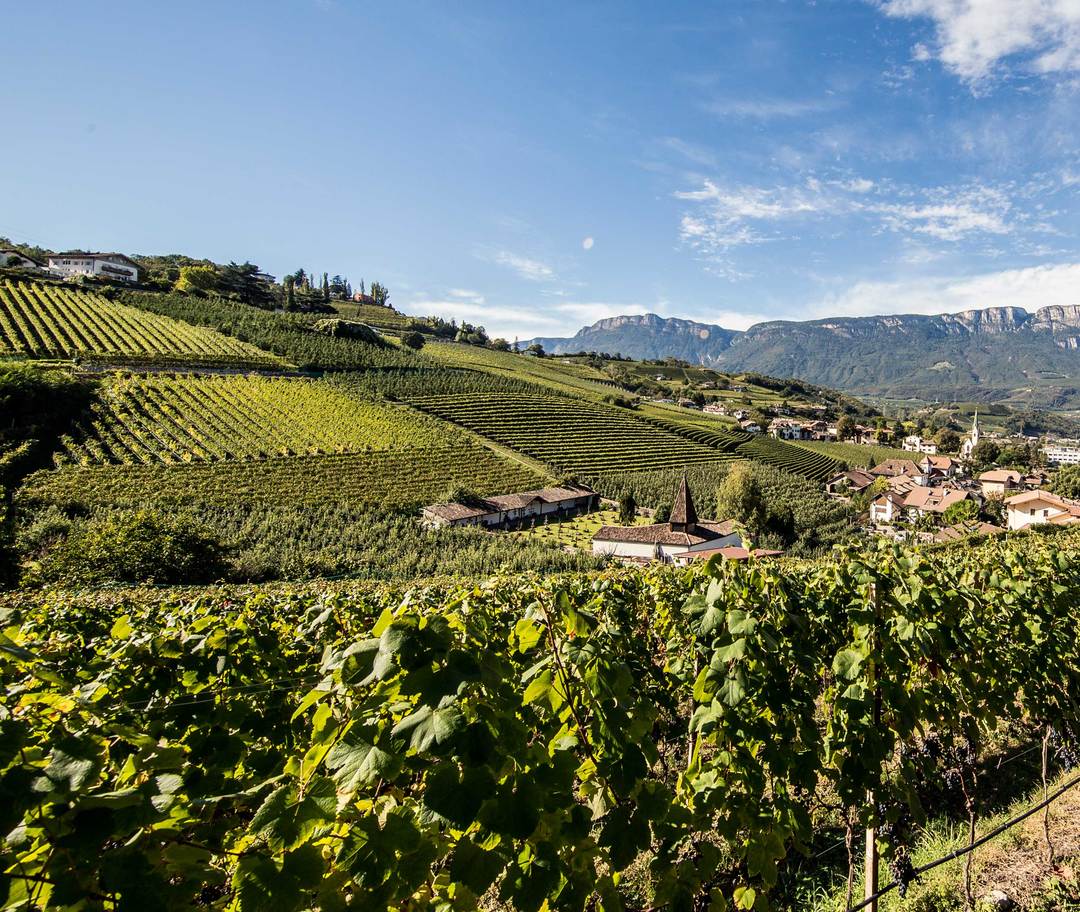 Wine and Hiking in Alto Adige