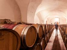 Vintage 2015 wine Alto Adige