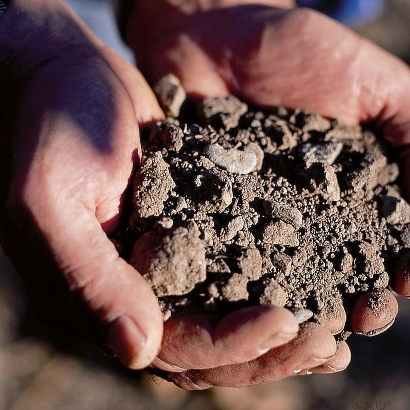 Close-up of two hands holding soil.