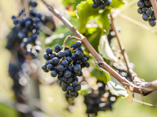 Люди за кулисами