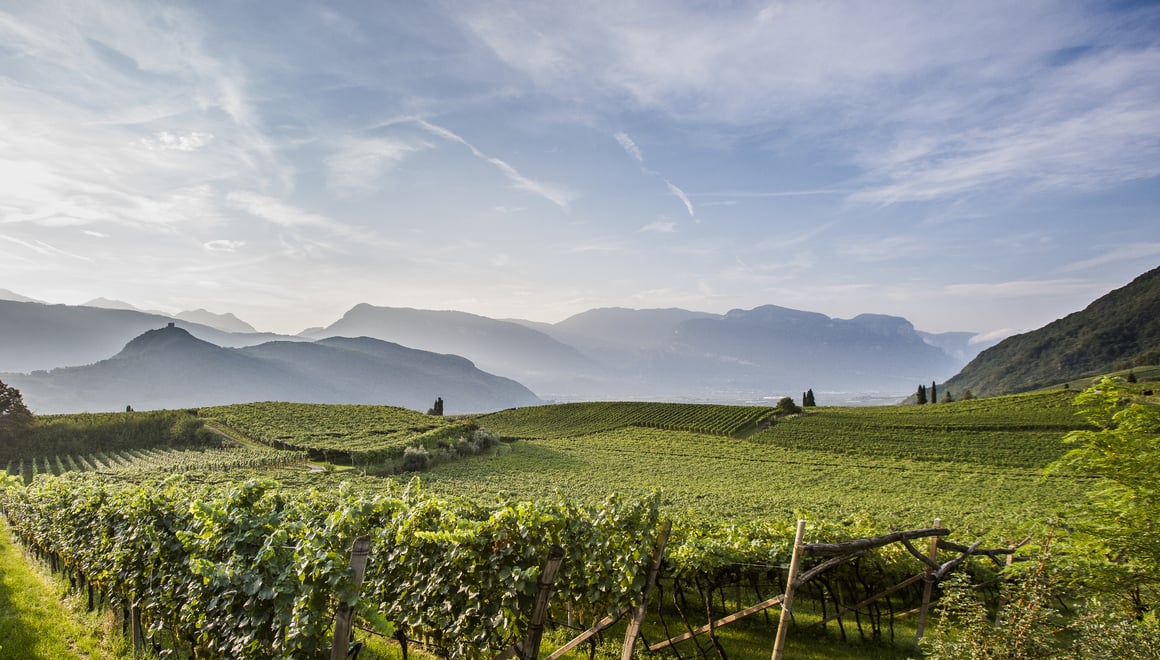 Enjoyment of Wine with Origin Alto Adige