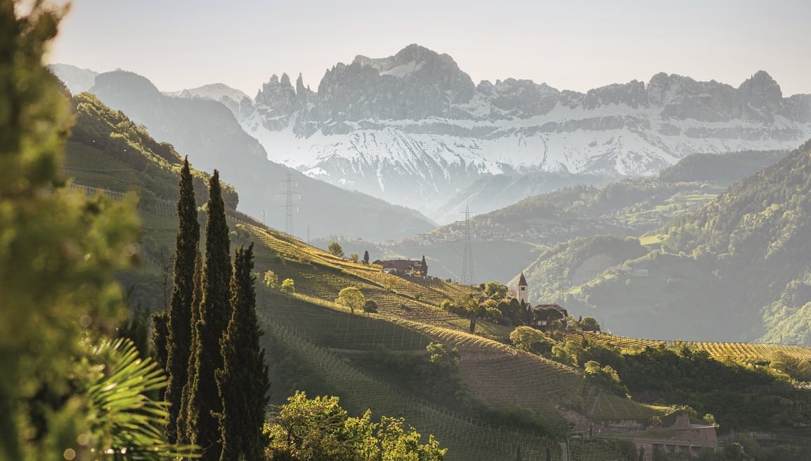 Vineyards with view to the Catinaccio