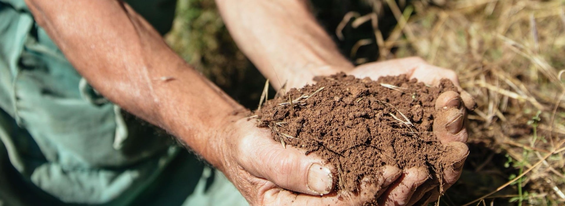Soils and geology Alto Adige