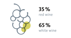 Production red and white vines