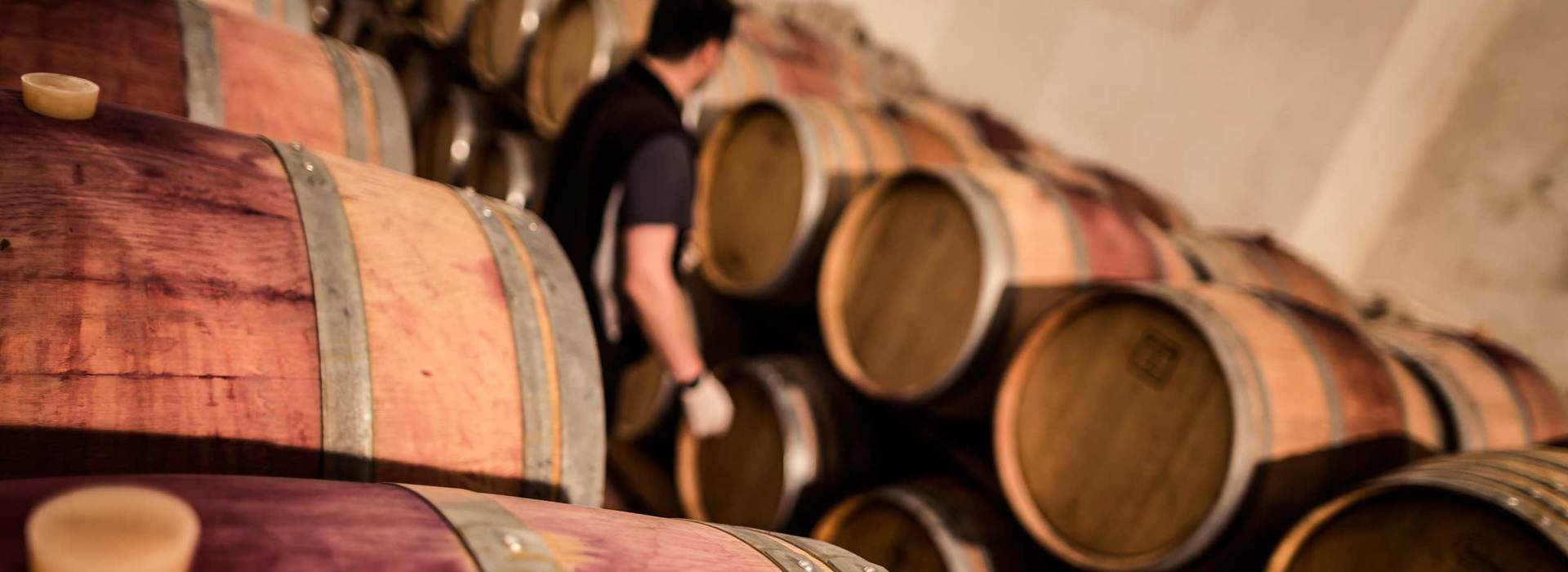 Wine Tours Alto Adige