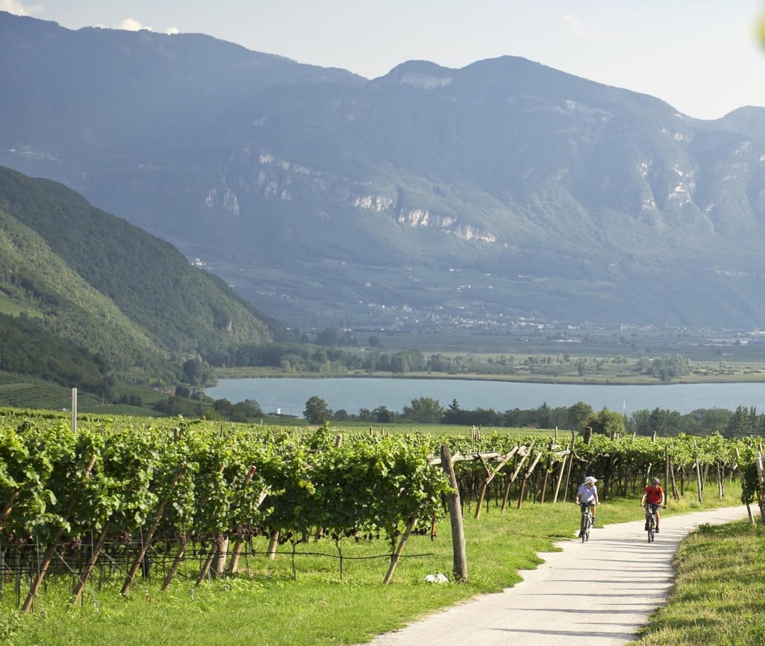 Wine Cycling in Alto Adige