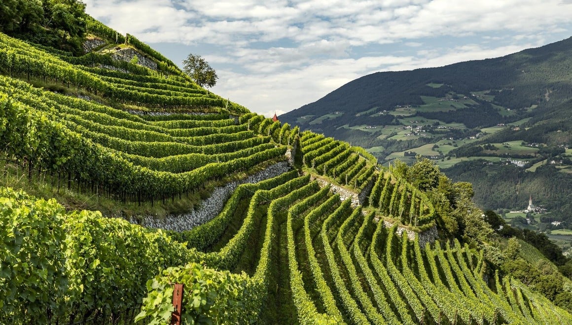 Strongholds of Wine Alto Adige