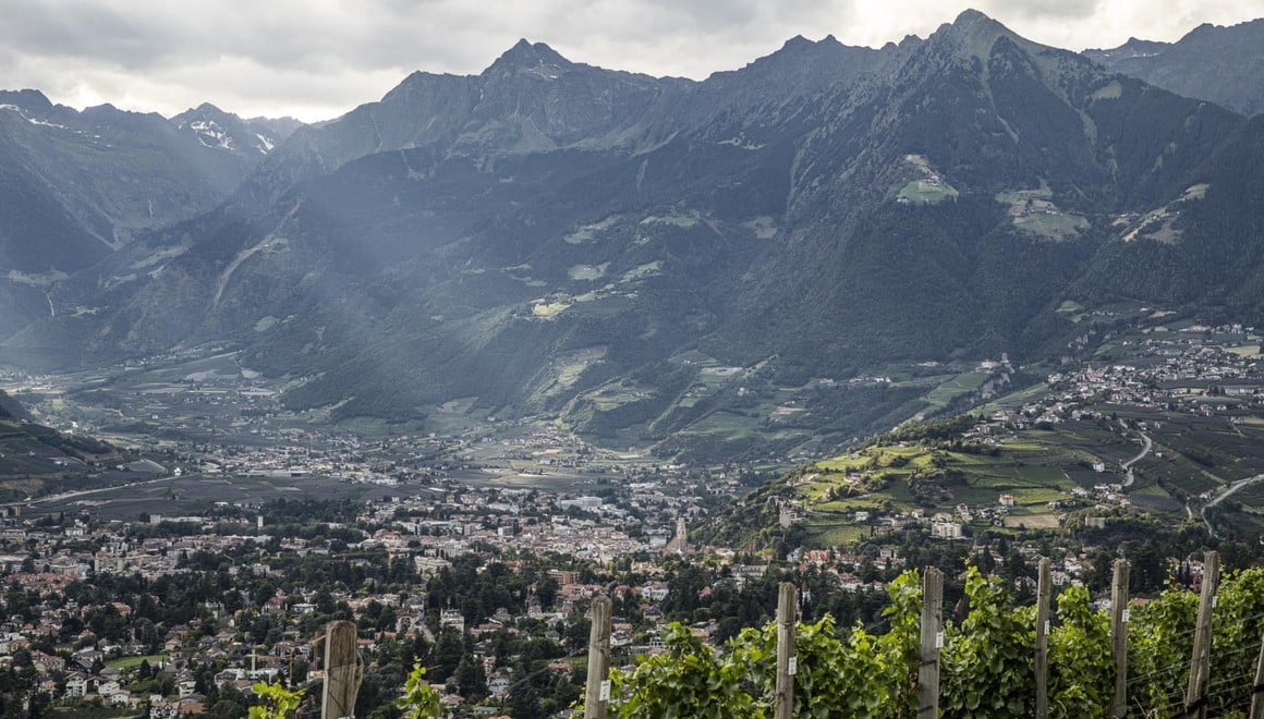 Winemaking with an Urban Flair Alto Adige