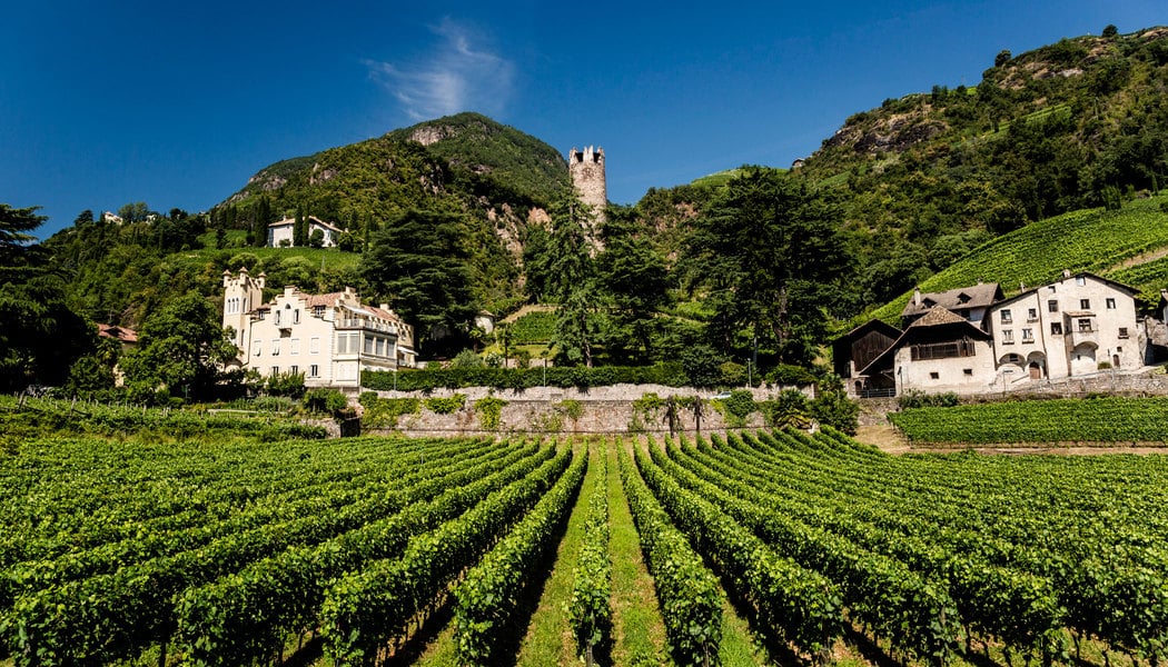 Каберне / Cabernet