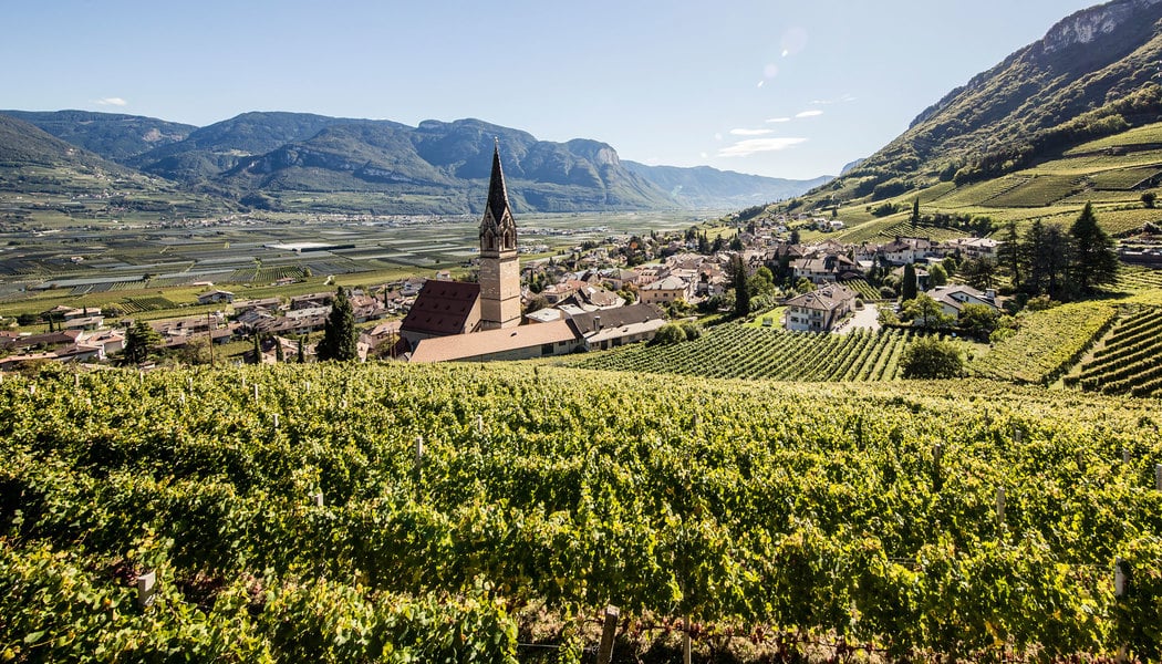 ゲヴュルツトラミネール（Gewürztraminer）