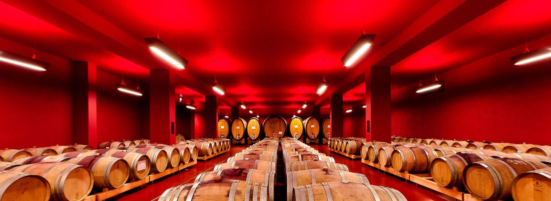 Wine and Architecture Alto Adige