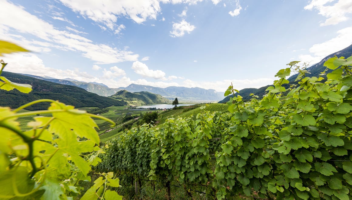 Lago di Caldaro（またはKalterersee）