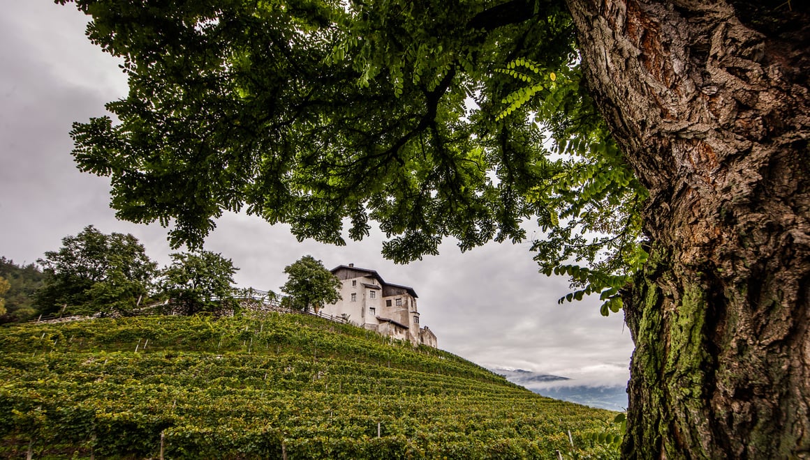 Alto Adige Valle Isarco（またはSüdtirol Eisacktaler）