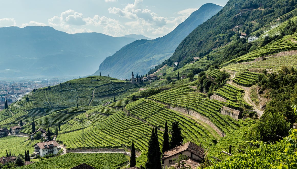 Alto Adige Santa Maddalena