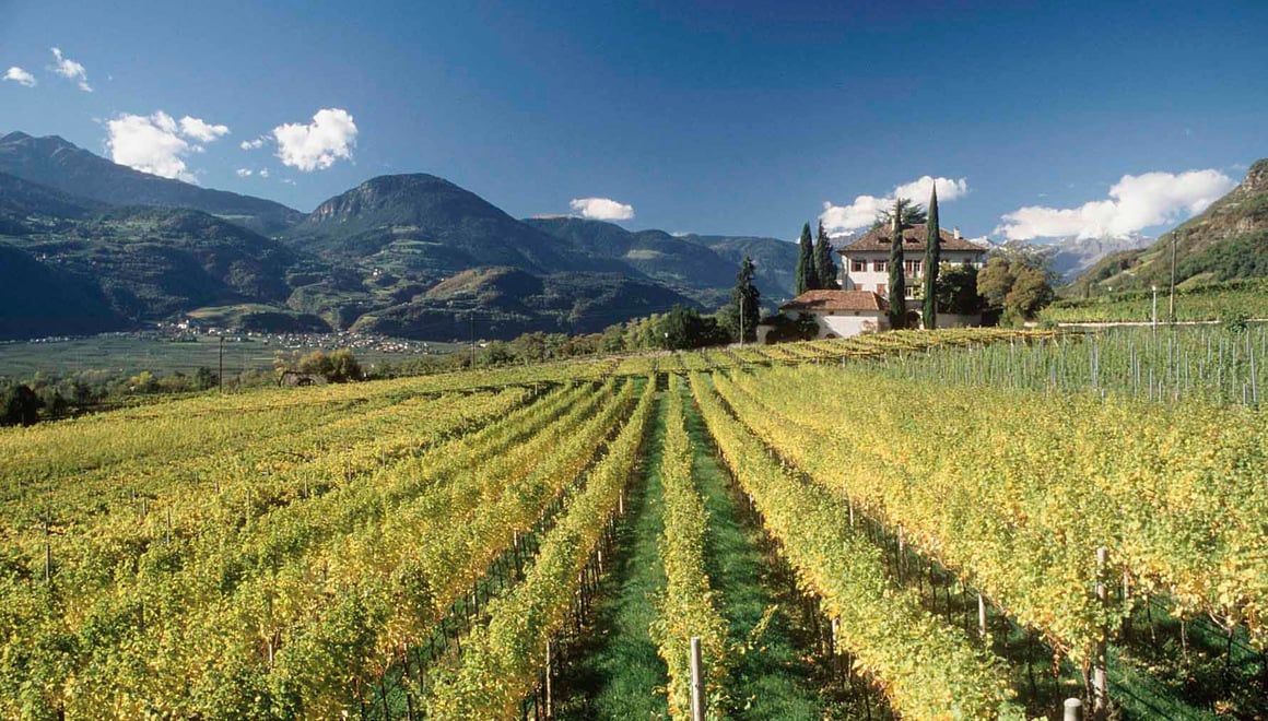 Alto Adige Terlano（またはSüdtirol Terlaner）