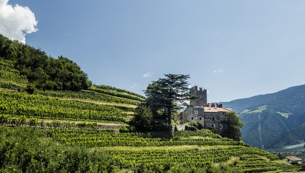 Альто-Адидже Валле-Веноста (Alto Adige Valle Venosta / Südtirol Vinschgau)