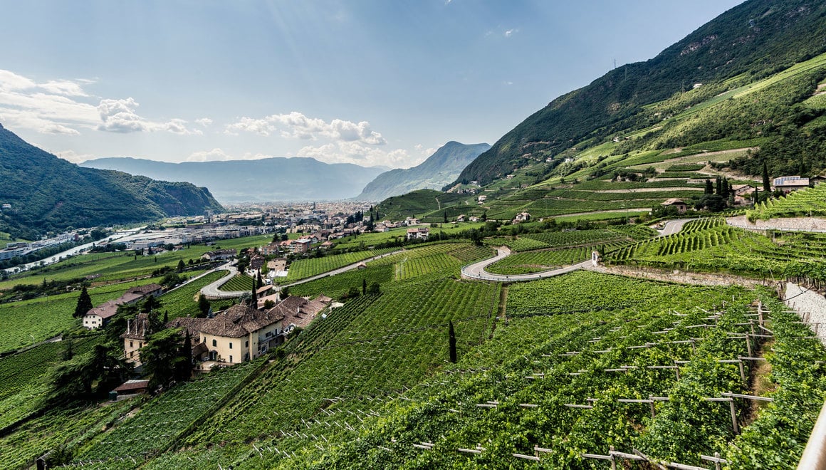 Alto Adige Colli di Bolzano（またはSüdtirol Bozner Leiten）