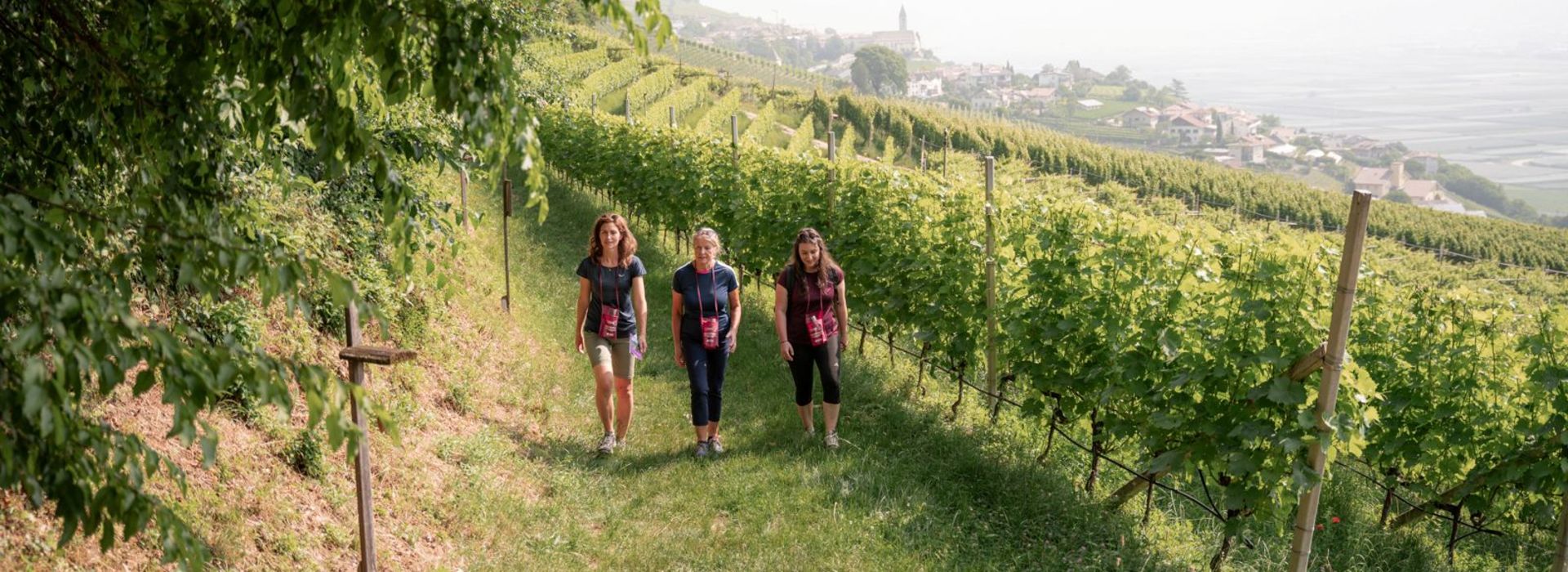 Cortaccia Instructional Wine Trail