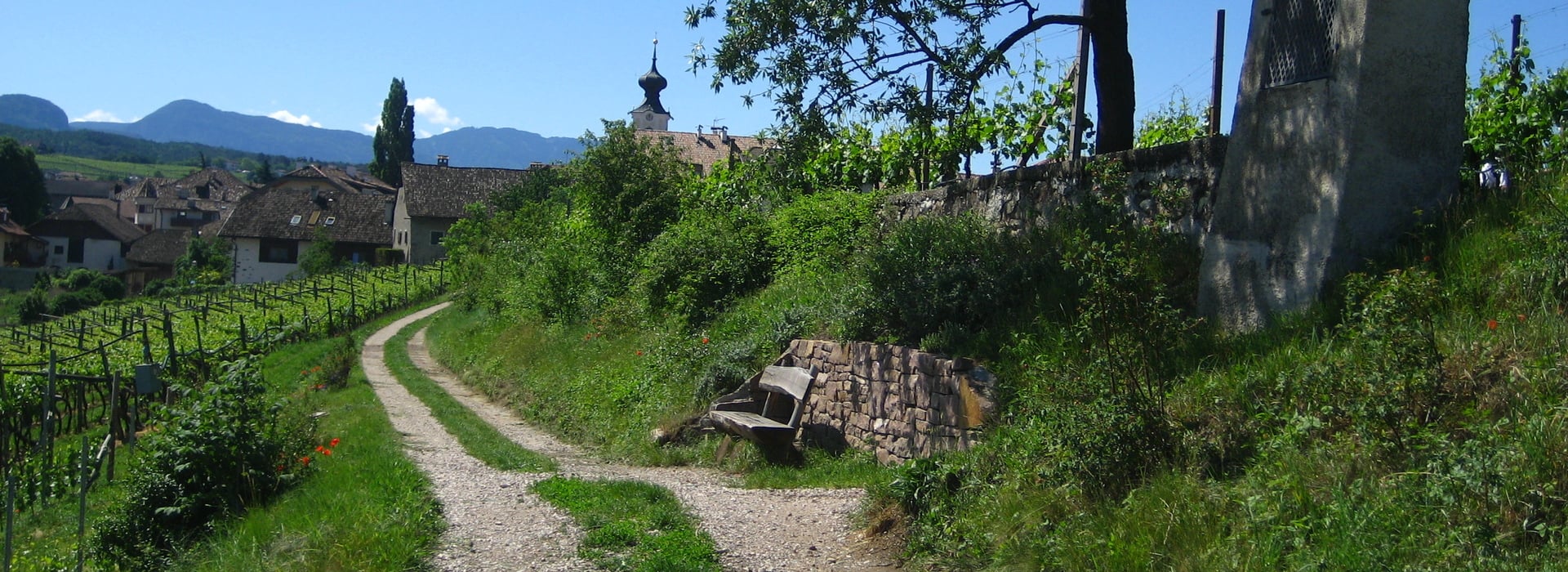 “Gschleier Path” Instructional Nature and Wine Trail in Cornaiano