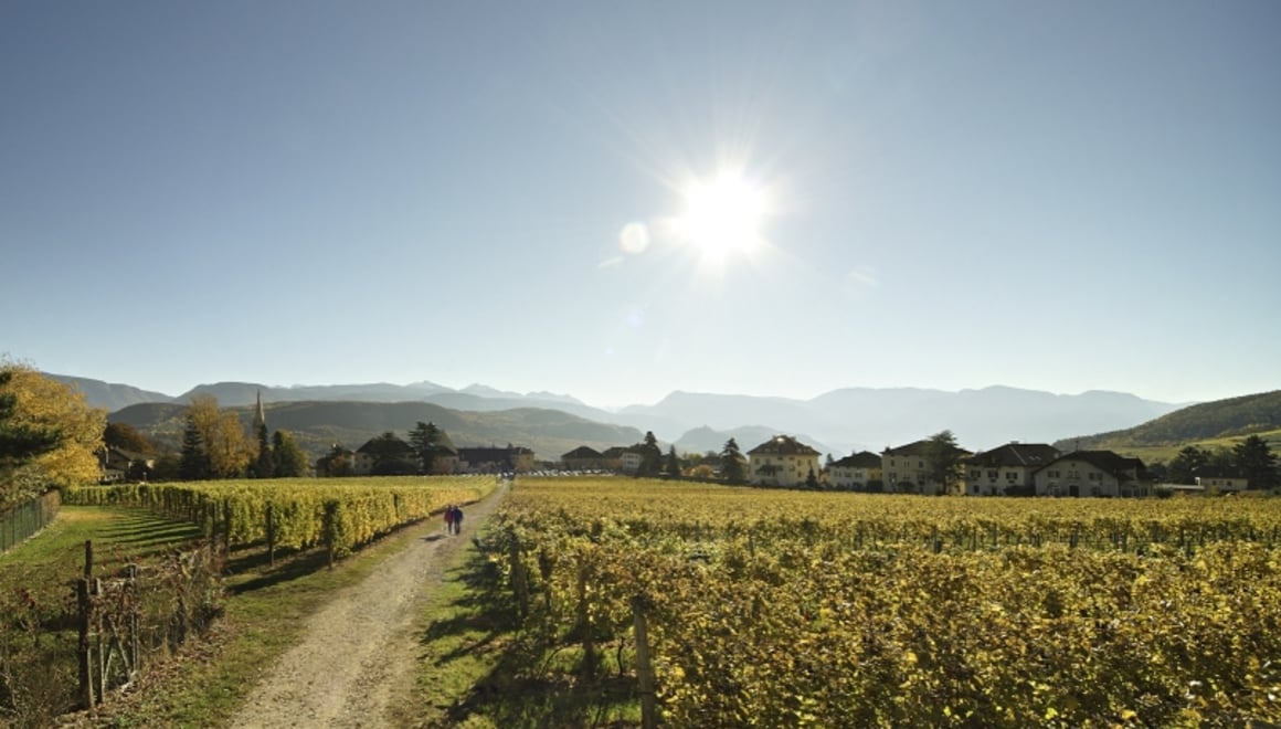 Castel Sallegg Wine Trail Alto Adige