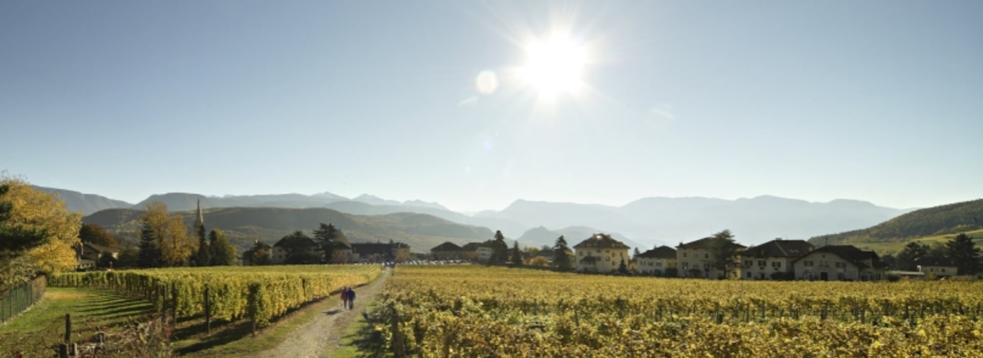 Castel Sallegg Wine Trail