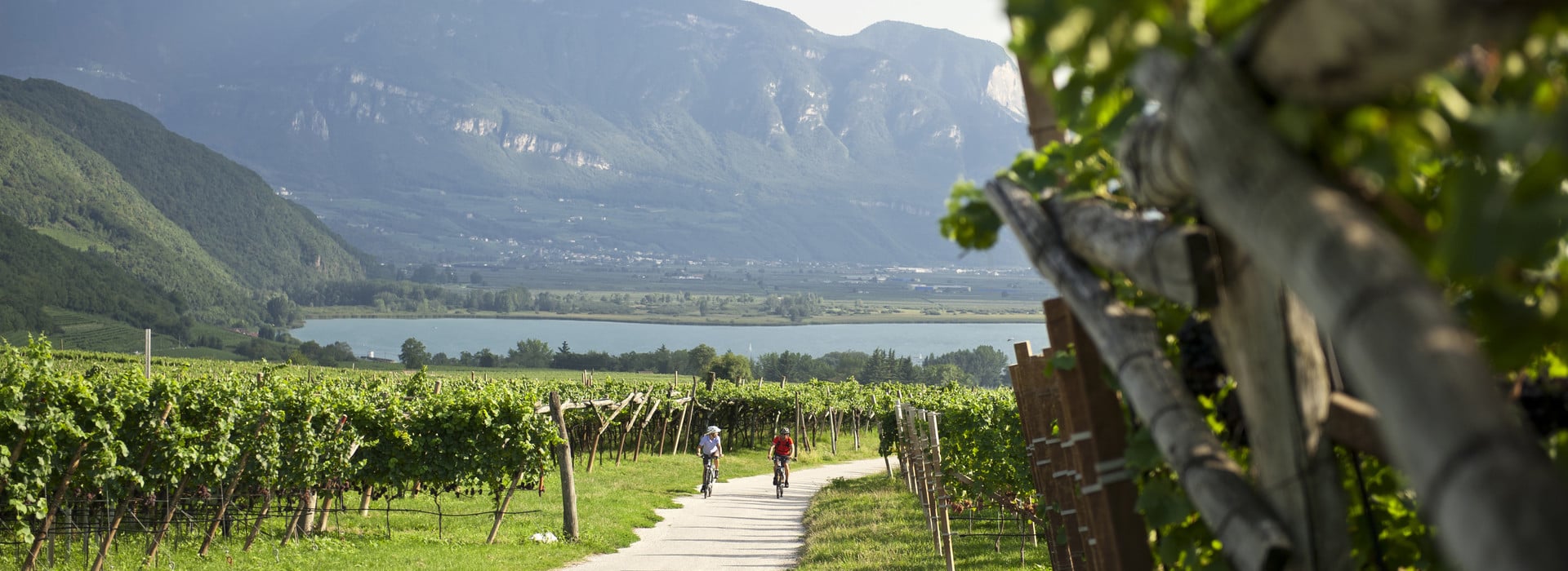 Central Wine Route