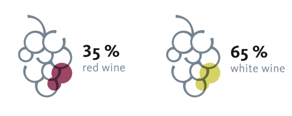Red and white wines compared