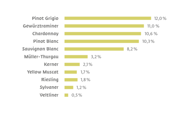 Cultivation zones of white wines Alto Adige
