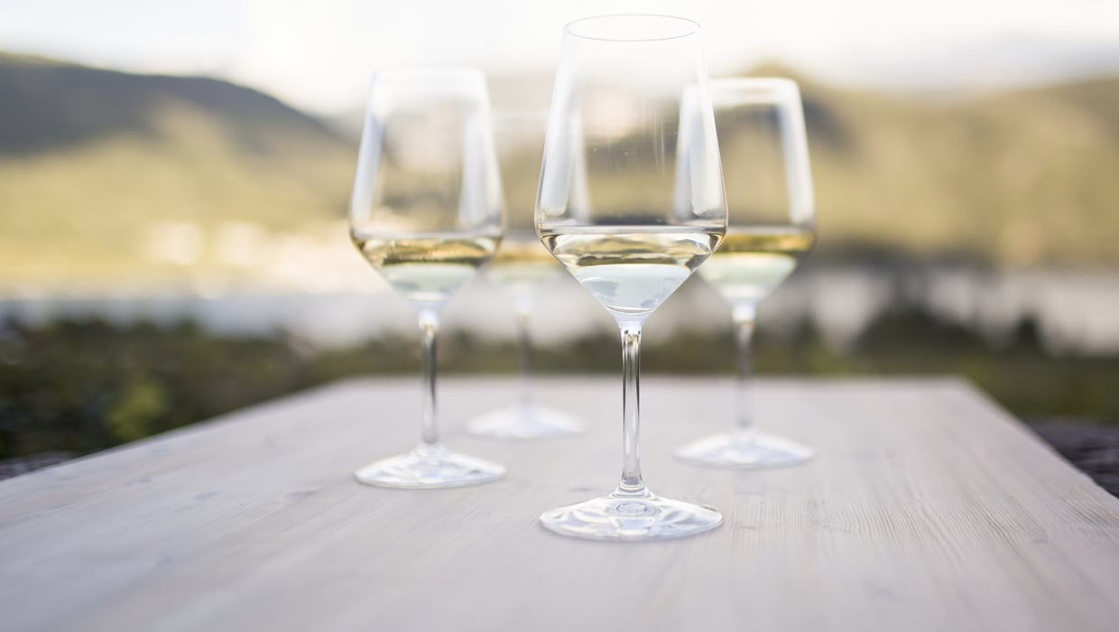 Vintage 2017 wine glass Alto Adige