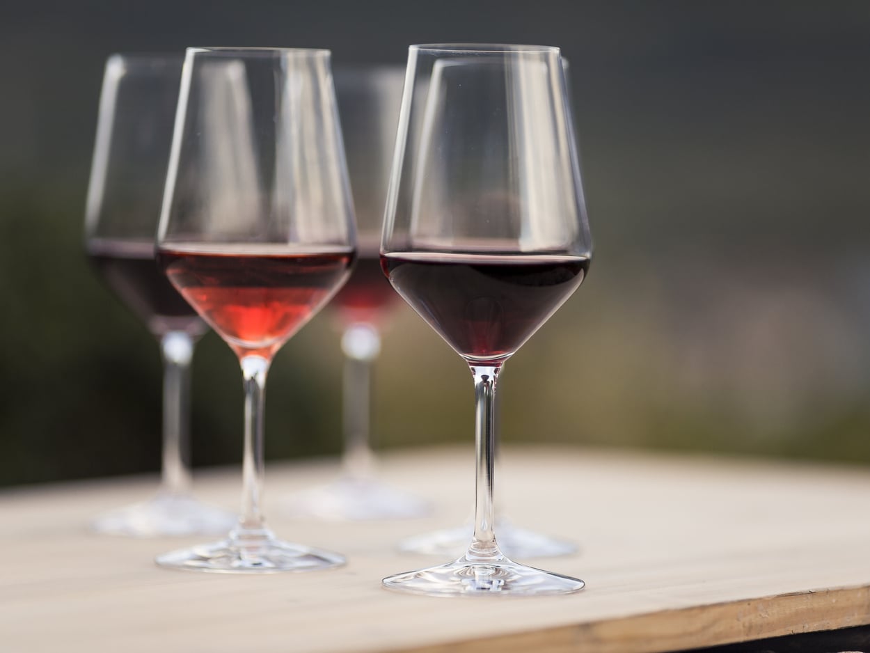 The Wine Competence Center in Alto Adige