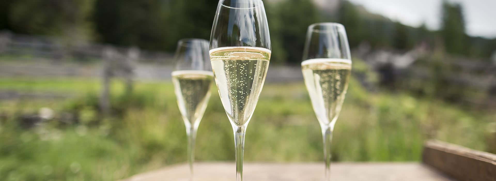 The Masterpiece of the Alto Adige Sparkling Wine Scene