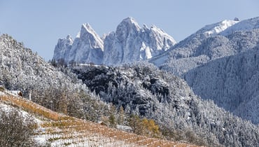 IDM/ Alto Adige Wine