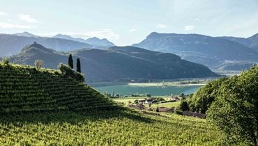IDM/ Alto Adige Wine