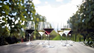 Outstanding Vintage for Südtirol/Alto Adige Wine