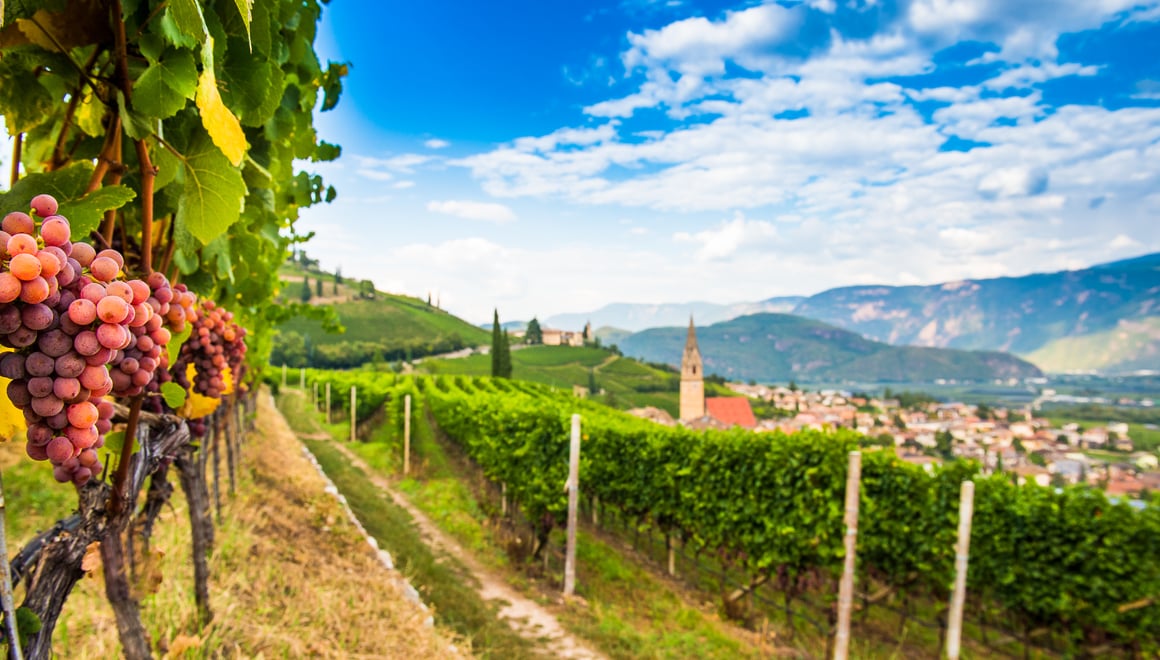 Gewürztraminer Trail Alto Adige