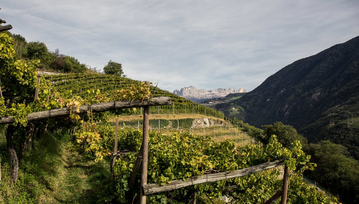 Winegrowing locations as ambassadors of quality