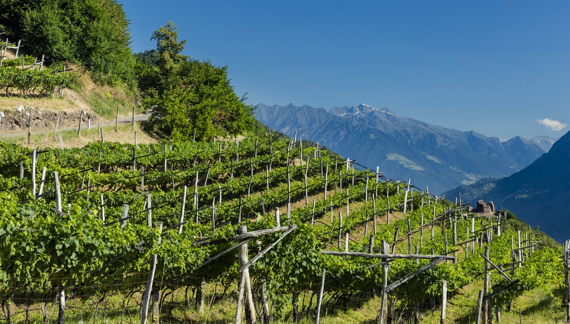 Alto Adige Wines - Hiking