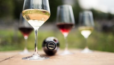 Südtirol Capsule - Florian Andergassen