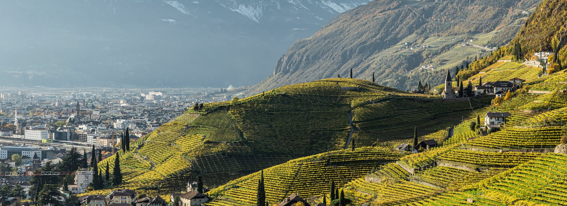 Notice of appointment of the Evaluation Committee members for the selection procedure of the implementing body of the information and promotion program of agricultural products in the extra market (Third Countries) – EU Regulation No 1144/2014