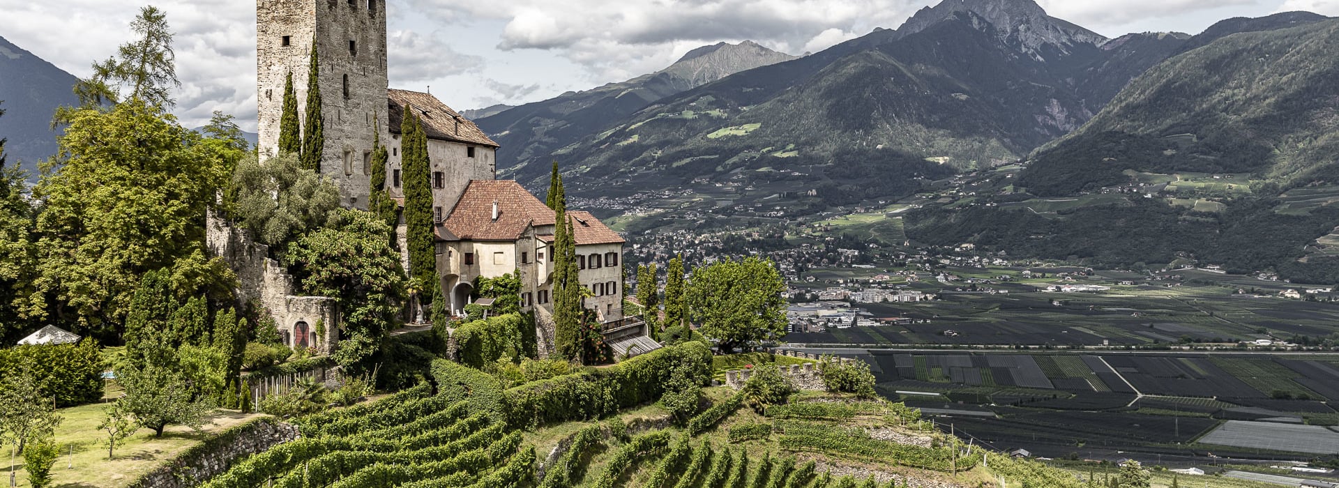 Implementing Body selection procedure award notification of the information and promotion program for agricultural products in third countries - EU Regulation no. 1144/2014