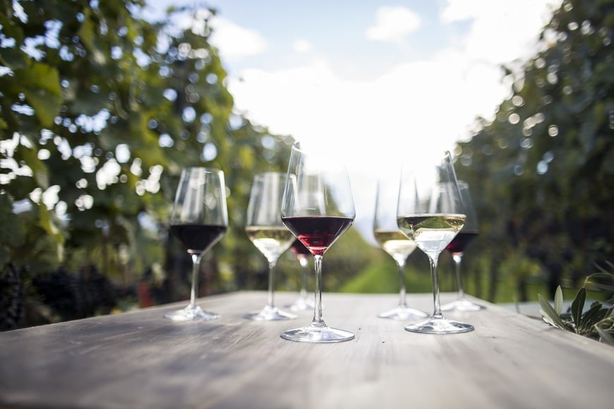 White and red wines in glass