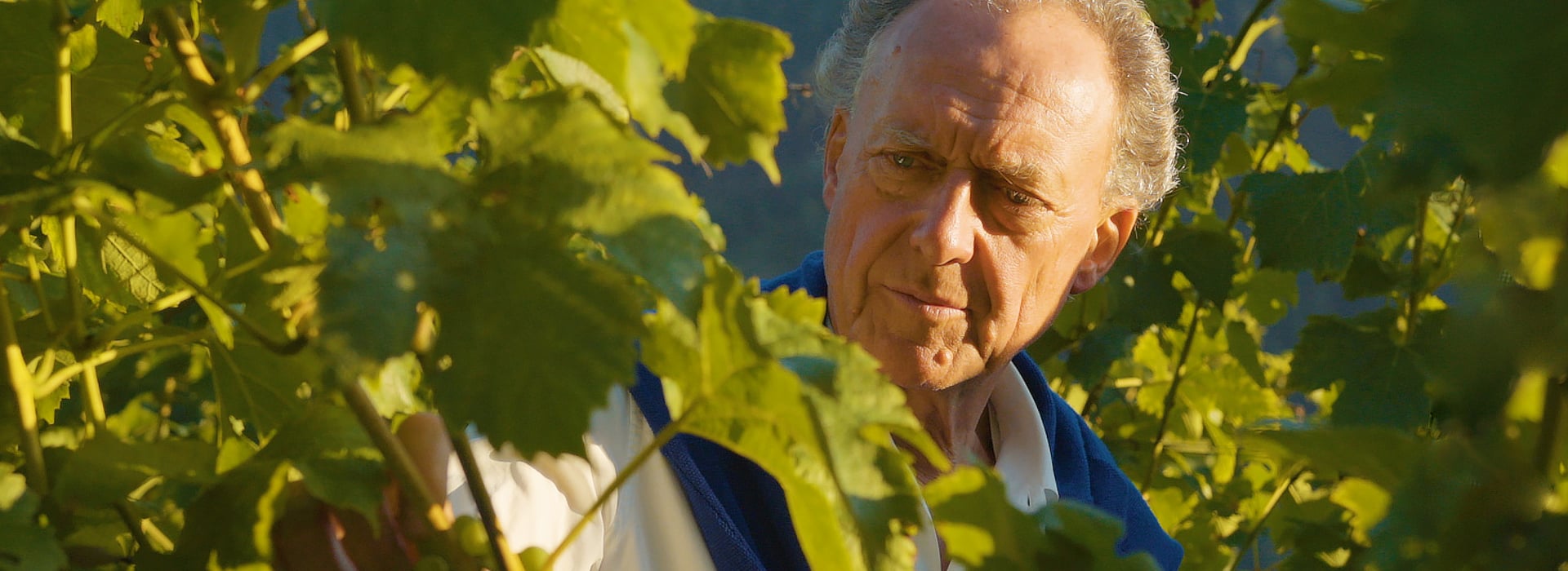 In Harmony with Nature