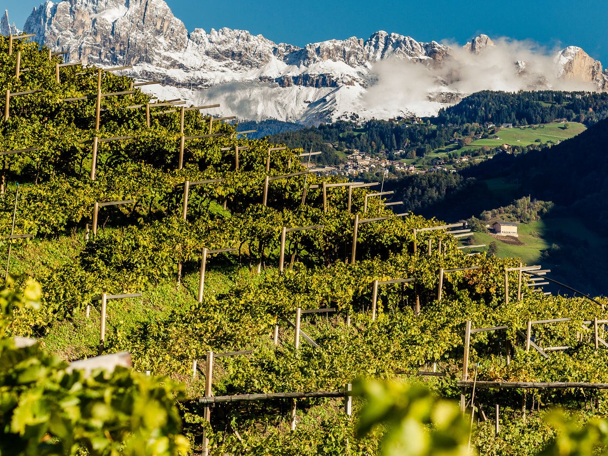 Сложный климат