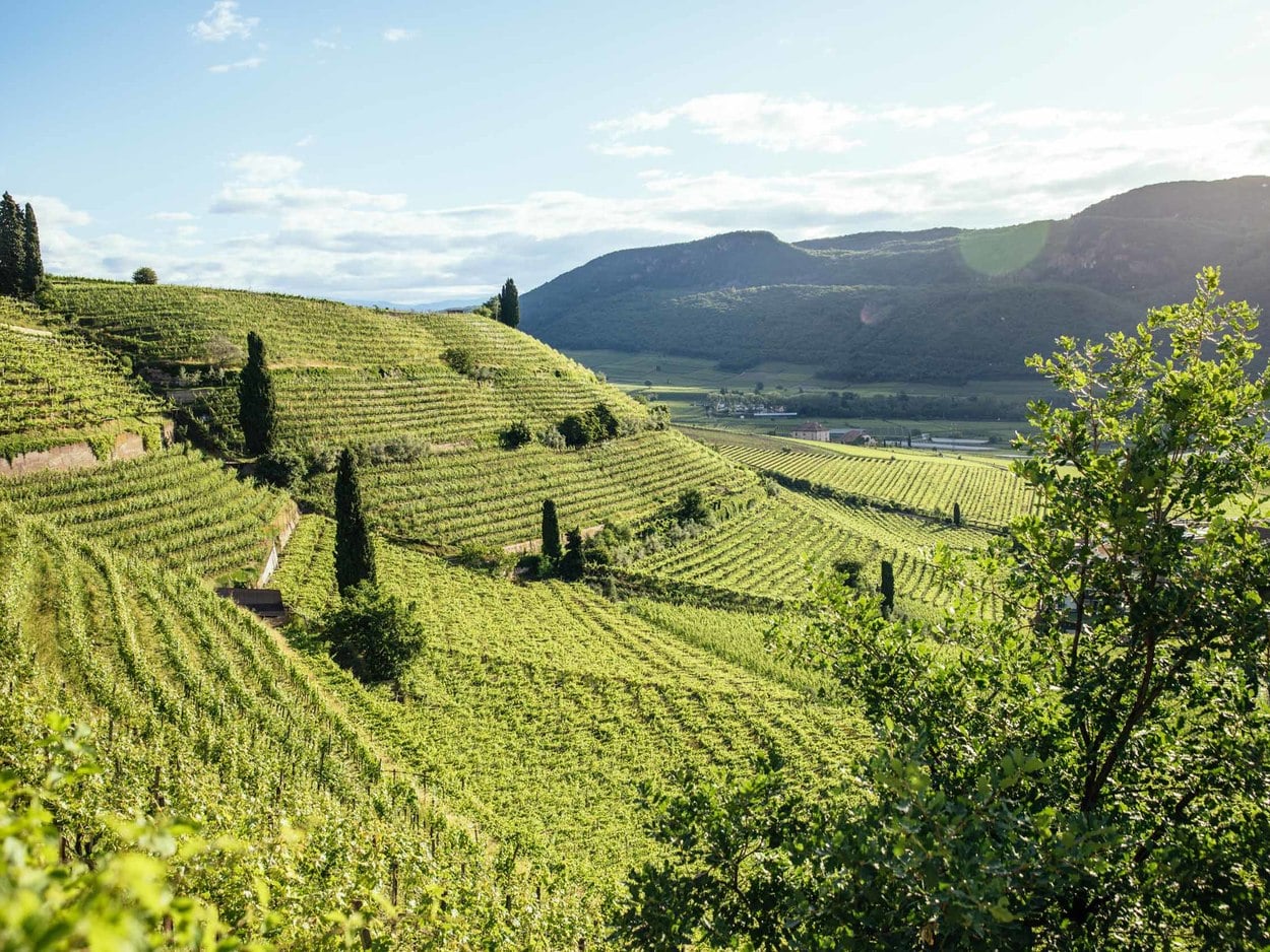 地理的要因と土壌の秘密