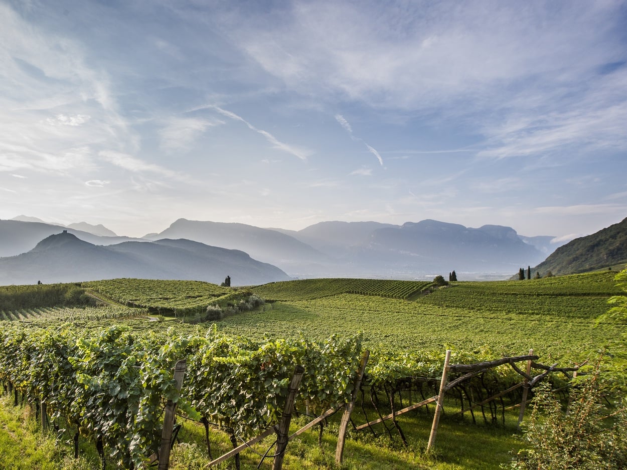 Alto Adige’s terroir