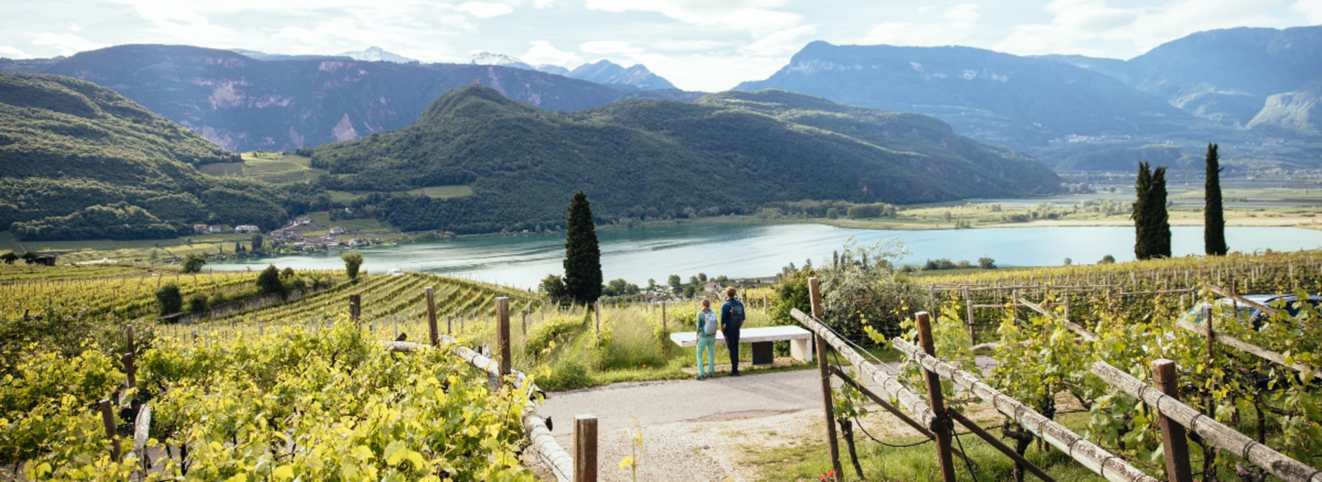 Wine hike through green vineyards with views of Lake Caldaro and the surrounding hills.