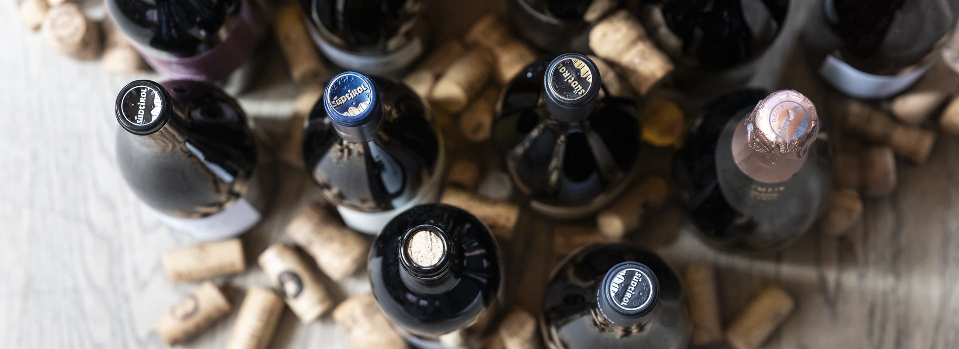 Vintage 2023 - Vini Alto Adige