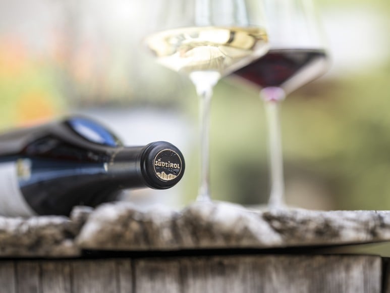 Vintage 2023 - Vini Alto Adige