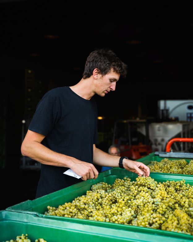 Winemaker Jakob Gasser ©Lukas Margesin