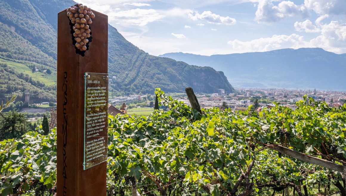 Wine Trail Ritten/Renon ©Tourist Info Ritten_Photo Manuela Tessaro